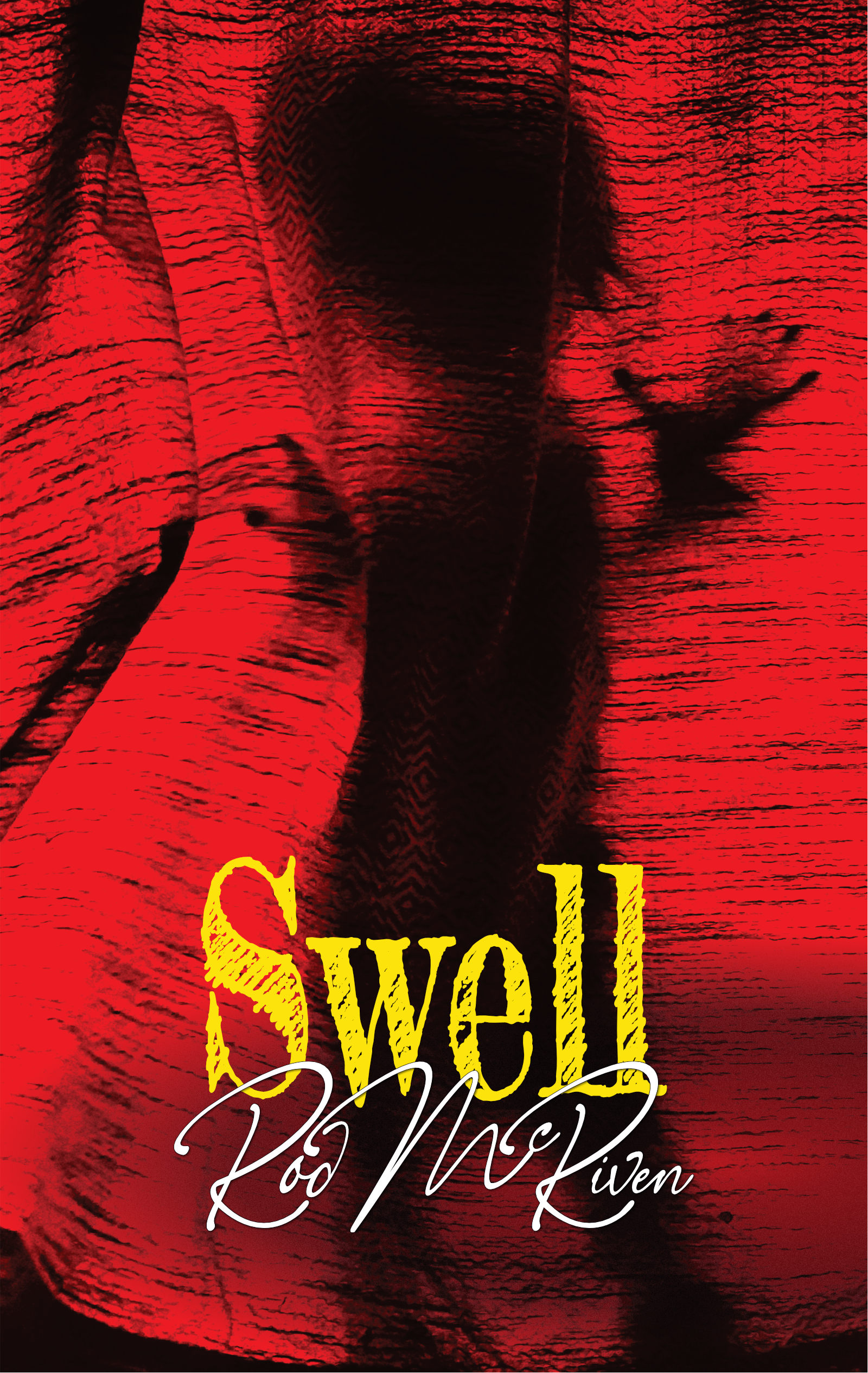 Swell2024BookCoverPromotion1600